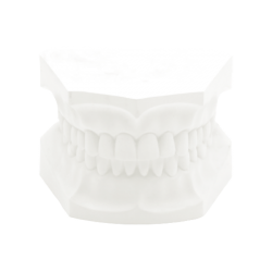 Artikuliacinis gipsas KKD, 06474 baltas, 22.7kg