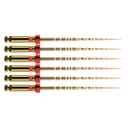 Protaper GOLD mašininis endodontinis instrumentas, DENTSPLY, F2 25 mm, 1x6 vnt