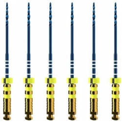 Protaper Ultimate mašininis endodontinis instrumentas DENTSPLY, FXL 25 mm, 6 vnt