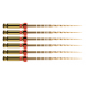 Protaper GOLD mašininis endodontinis instrumentas, DENTSPLY, F2 31 mm, 6 vnt (1)
