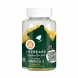 Maisto papildas IVYBEARS Omega 3, 60 vnt (1)