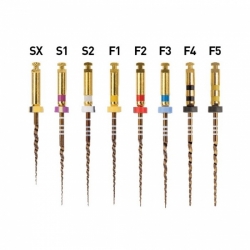  Protaper GOLD mašininis endodontinis instrumentas, DENTSPLY, įvairių dydžių, 21 mm, 1x6 vnt