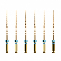 Protaper GOLD mašininis endodontinis instrumentas, DENTSPLY, įvairių dydžių, 25 mm, 1x6 vnt