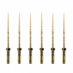 Protaper GOLD mašininis endodontinis instrumentas, DENTSPLY, įvairių dydžių, 31 mm, 1x6 vnt