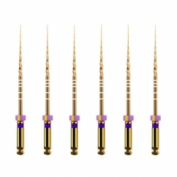  Protaper GOLD mašininis endodontinis instrumentas, DENTSPLY, įvairių dydžių, 21 mm, 1x6 vnt