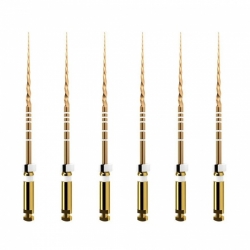 Protaper GOLD mašininis endodontinis instrumentas, DENTSPLY, įvairių dydžių, 31 mm, 1x6 vnt