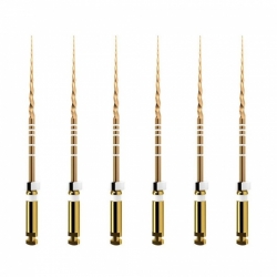 Protaper GOLD mašininis endodontinis instrumentas, DENTSPLY, įvairių dydžių, 25 mm, 1x6 vnt