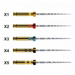 Protaper next mašininis endodontinis instrumentas, DENTSPLY, įvairių dydžių, 31 mm, 1x6 vnt