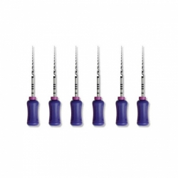 Protaper rankinis endodontinis instrumentas, DENTSPLY, įvairių dydžių, 31 mm, 1x6 vnt
