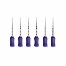 Protaper rankinis endodontinis instrumentas, DENTSPLY, įvairių dydžių, 25 mm, 1x6 vnt