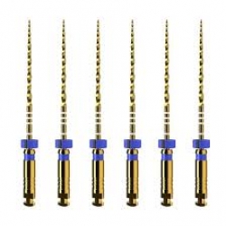 Protaper Ultimate mašininis endodontinis instrumentas, DENTSPLY, F3 25 mm, 1x6 vnt