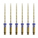 Protaper Ultimate mašininis endodontinis instrumentas, DENTSPLY, F3 25 mm, 1x6 vnt (1)