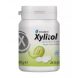 Xylitol pastilės su ksilitoliu, HAGER&WERKEN, melionų skonio, DĖŽUTĖJE, 26 vnt (1)