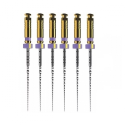 Protaper Ultimate mašininis endodontinis instrumentas, DENTSPLY, Slider 25 mm, 1x6 vnt