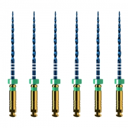 Protaper Ultimate mašininis endodontinis instrumentas, DENTSPLY, FX 25 mm, 1x6 vnt