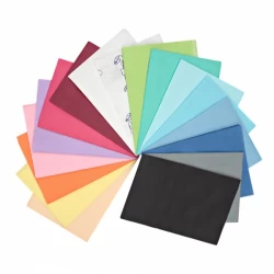 Servetėlės pacientui LILAC N500 Dispotech