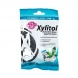 Xylitol pastilės su ksilitoliu, HAGERWERKEN, mėtų skonio, 26 vnt (1)