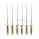 Pathfile sterile rinkinys, DENTSPLY, 25 mm 013/016/019, 1x6 (1)