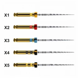  Protaper next mašininis endodontinis instrumentas, DENTSPLY, įvairių dydžių, 21 mm, 1x6 vnt