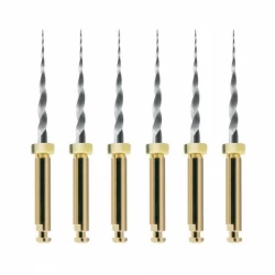 Protaper next mašininis endodontinis instrumentas, DENTSPLY, XA 19 mm, 1x6 vnt
