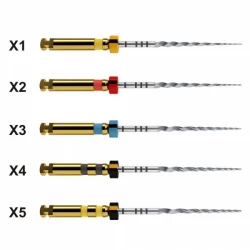  Protaper next mašininis endodontinis instrumentas, DENTSPLY, įvairių dydžių, 21 mm, 1x6 vnt